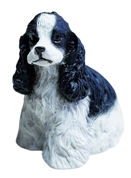 Hund - Cavalier king charles spaniel - sittande