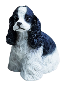 Hund - Cavalier king charles spaniel - sittande