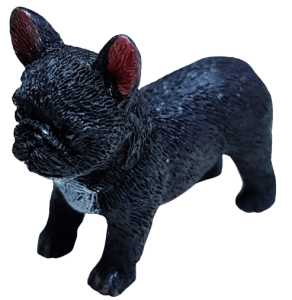 Hund - fransk bulldog - stående