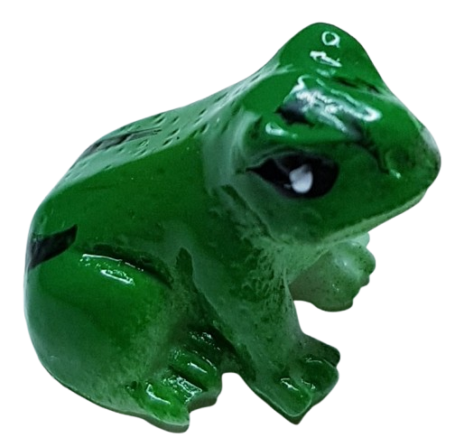 Groda