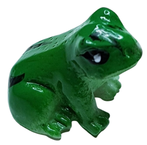 Groda