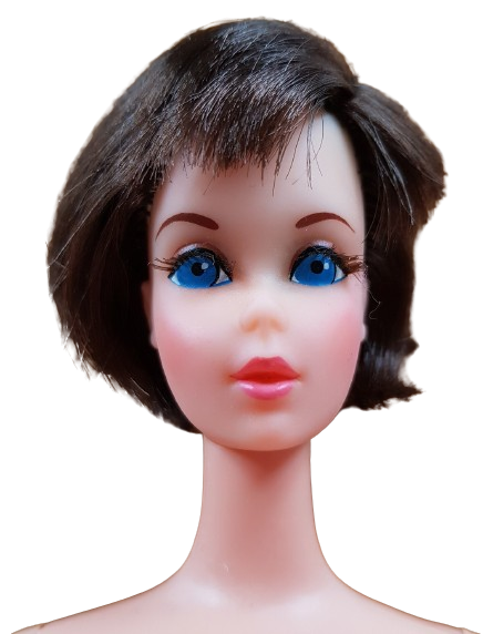 Hair Fair Barbie - Center Eyes - brunette