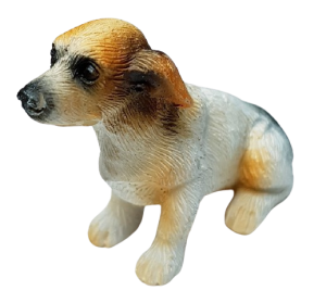 Hund - Jack Russel - sittande