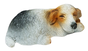 Hund - Jack Russel - liggande