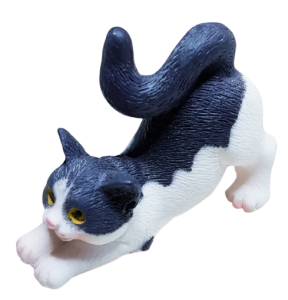 Katt - vit/svart