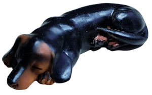 Hund - korthårig tax - liggande