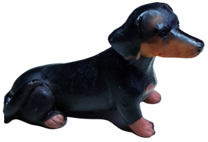 Hund - korthårig tax - sittande