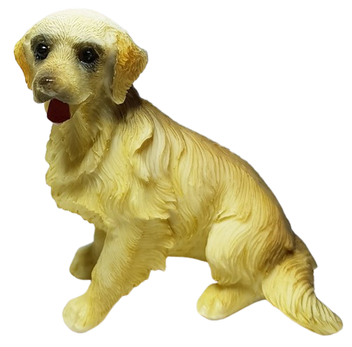 Hund - Golden retriever