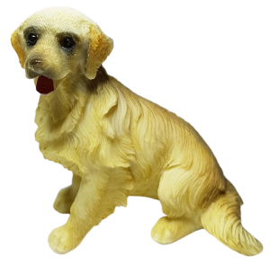 Hund - Golden retriever