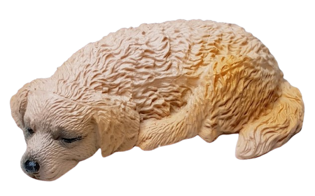 Hund - Golden retriever - sovande