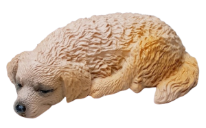 Hund - Golden retriever - sovande