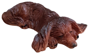 Hund - långhårig tax - liggande