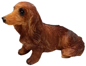 Hund - långhårig tax - sittande