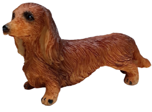 Hund - långhårig tax - stående