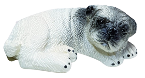 Hund - mops - liggande