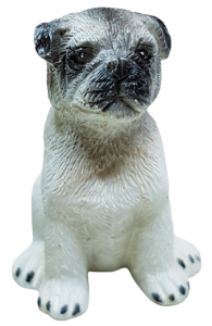 Hund - mops - sittande