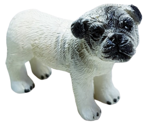 Hund - mops - stående