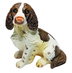 Hund - Springer spaniel - sittande