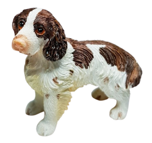 Hund - Springer spaniel - stående
