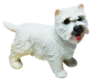 Hund - Westie - stående