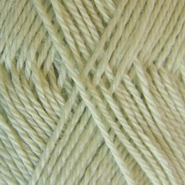 Spindrift - Pumpkin 50g