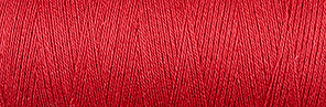 Rich berry 3-3004 - Ekologisk cottolin 22/2 100g