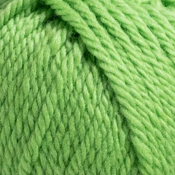 Green parakeet - Merino 50g