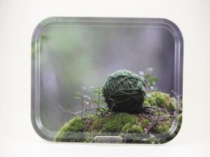 Nystan på mossa - bricka