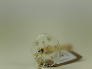 Anthriscus selvestris - Top whorl spindle appr 35g