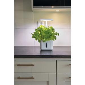 Odlingsset Urban Growning P4 GreenLine