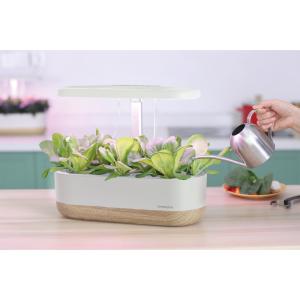 Odlingsset Urban Growning P10 GreenLine