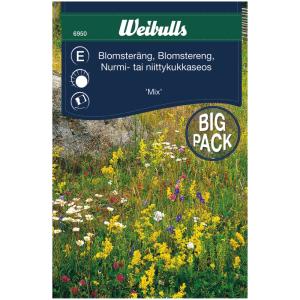 Gräsfrö blomsterängsblandning