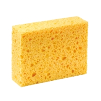 Cellulosasvamp SCHULLER