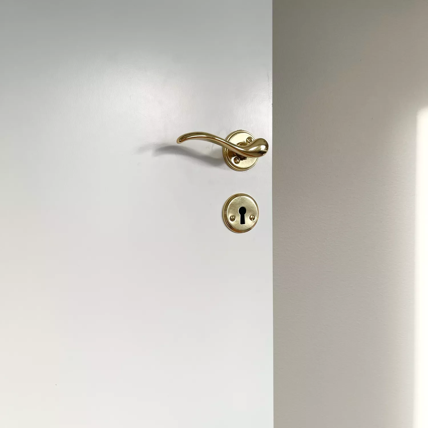 Door handle Dovern Brass