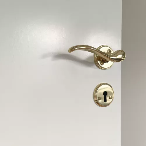 Dörrhandtag Dovern Mässing