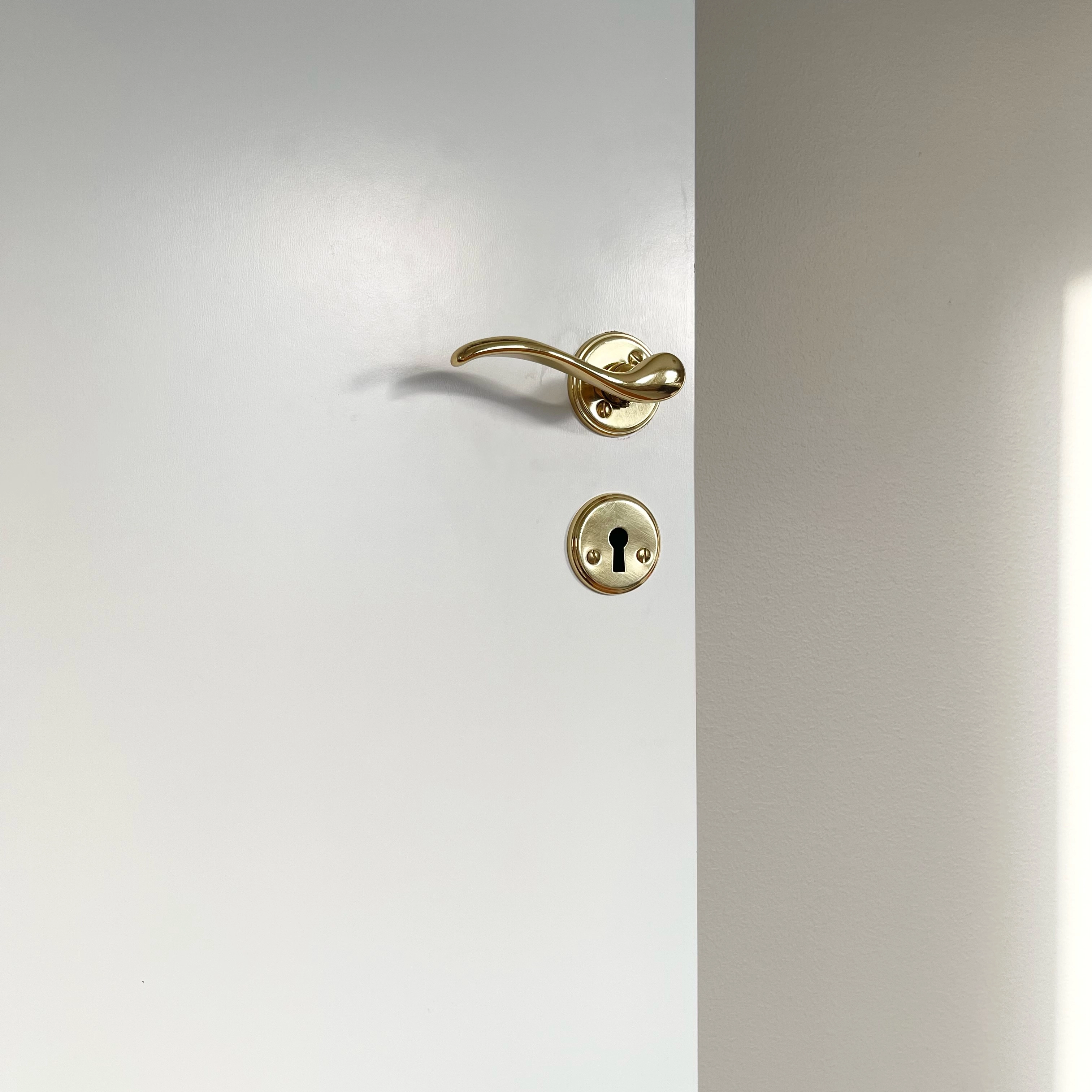 Door handle Dovern Brass