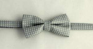 Grå prickig barnfluga