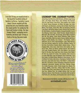 Ernie Ball 2007 Earthwood  80/20 0115-54