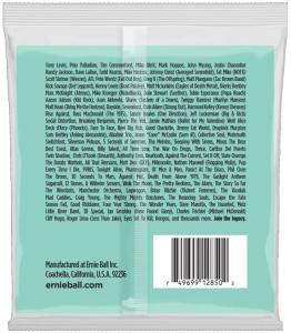 Ernie Ball 2850 Bass Slinky Super Long Scale 5-string 045-130