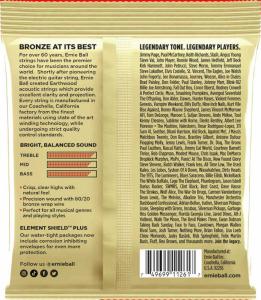 Ernie Ball 3002 Earthwood 80/20 Bronze 013-056 3-pack