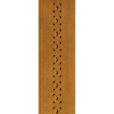 Planet Waves 25PRF04