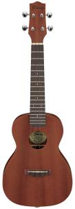 Ibanez UKC100