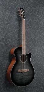 Ibanez AEG70-TCH