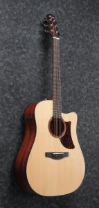 Ibanez AAD170CE-LGS