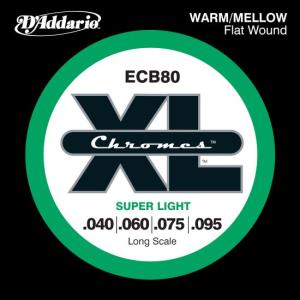 DAddario ECB80