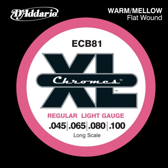 DAddario ECB81
