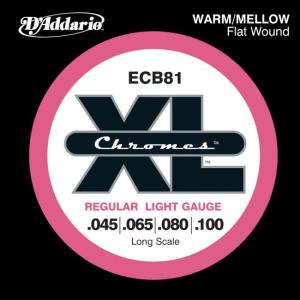 DAddario ECB81