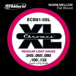DAddario ECB81-5SL