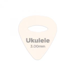 Planet Waves 1FLT9-04