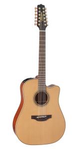 Takamine P3DC-12